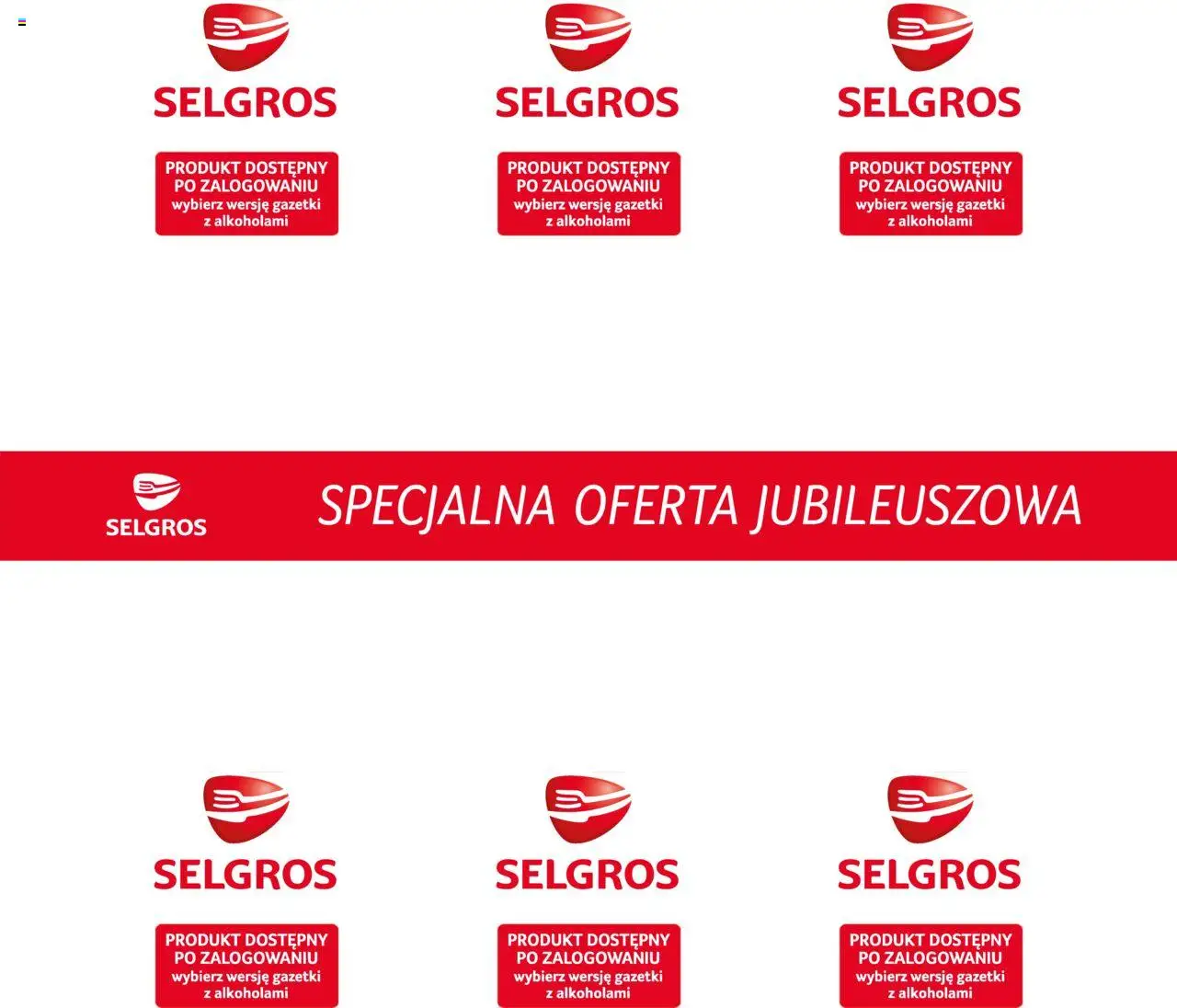 Selgros cash&carry Gazetka - Specjalna oferta jubileuszowa od 05.06.2025 | Strona: 3