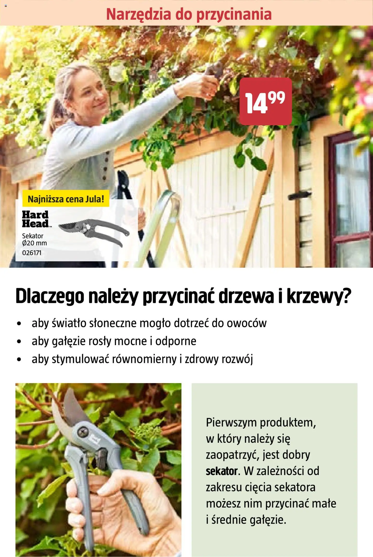 Jula gazetka - Wiosna od 26.02.2026 | Strona: 20 | Produkty: Sekator