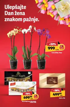 Maxi katalog - pregled Maxi kataloga - važi od 05.03.2026 | Strana: 2