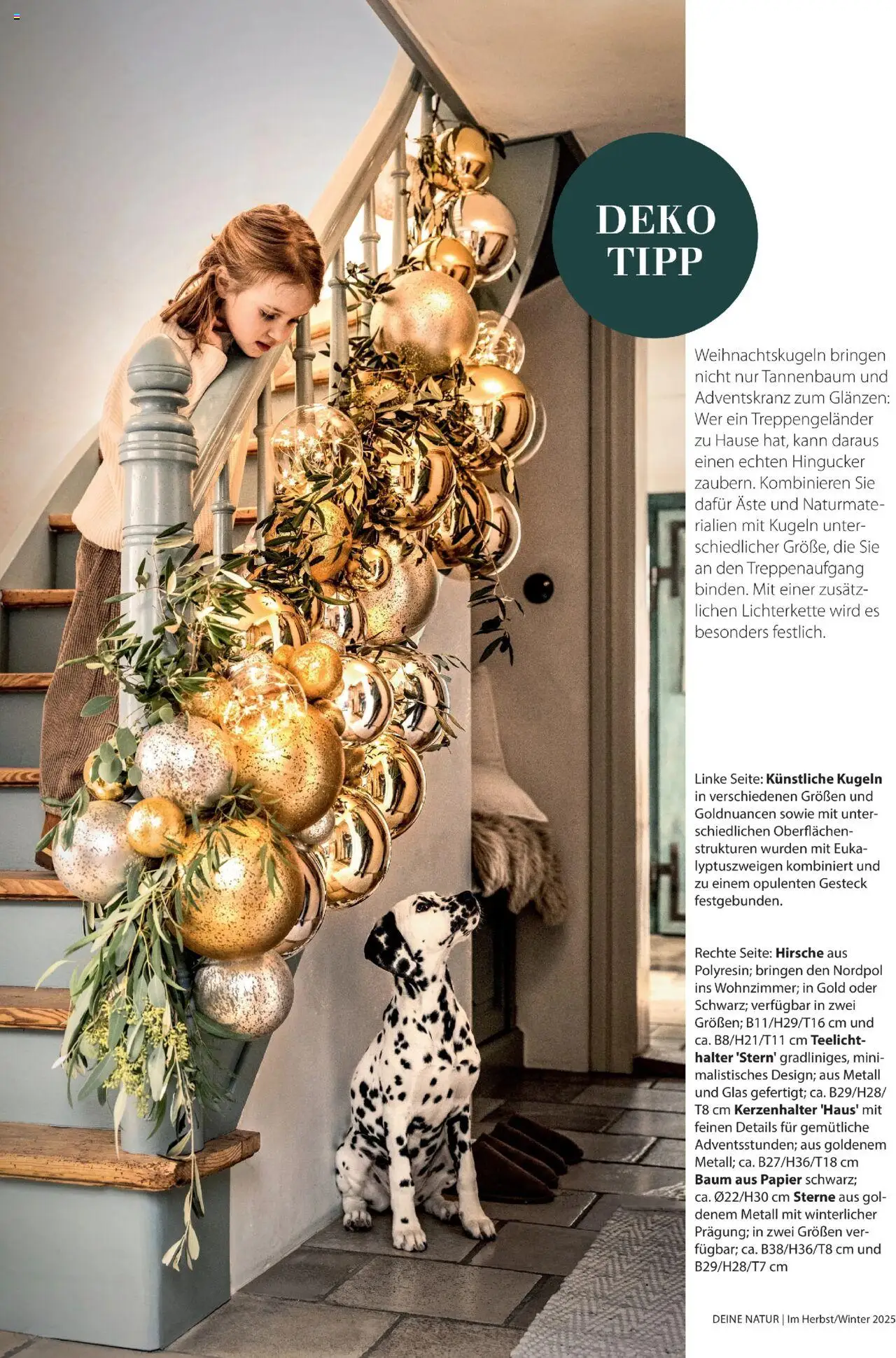 Dehner  Flugblatt gültig ab 10.10.2025 | Seite: 44