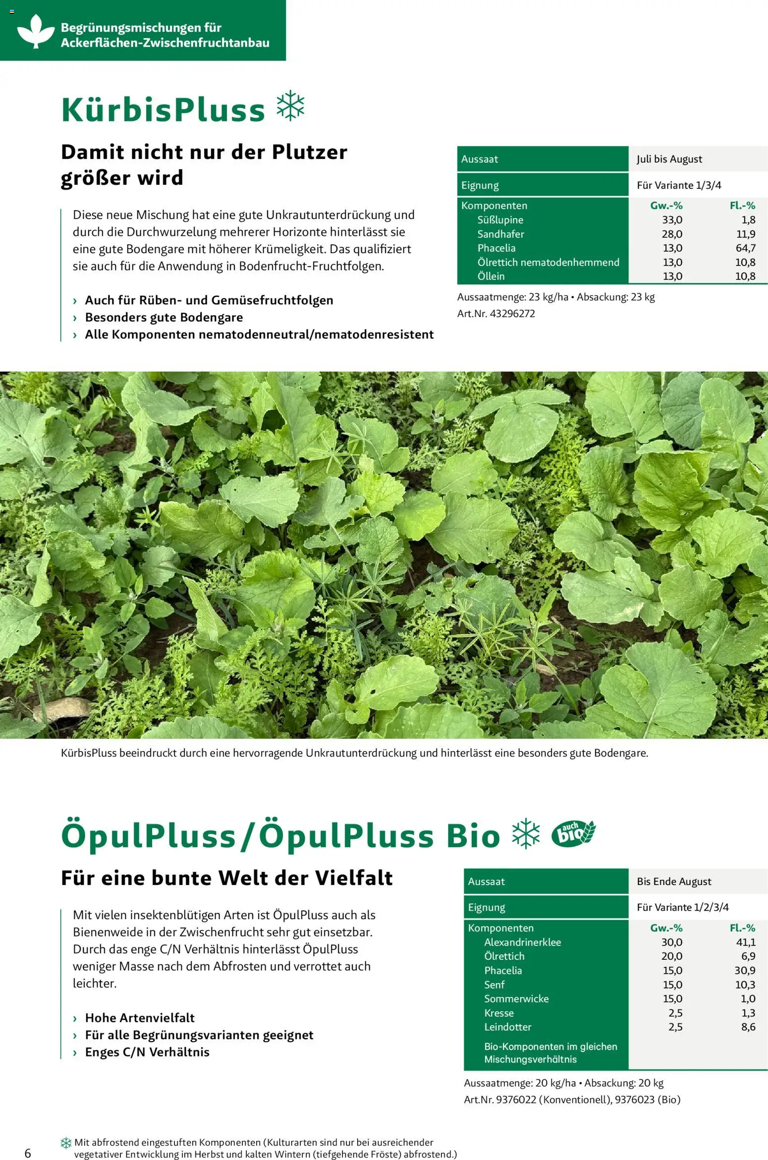 Lagerhaus Zwischenfrüchte und Begrünungen 2026 gültig ab 26.03.2026 | Seite: 6