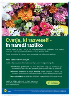 Lidl katalog akcije – veljaven od 26.03.2026 | Stran: 24 | Izdelki: Cvetje, Šopek
