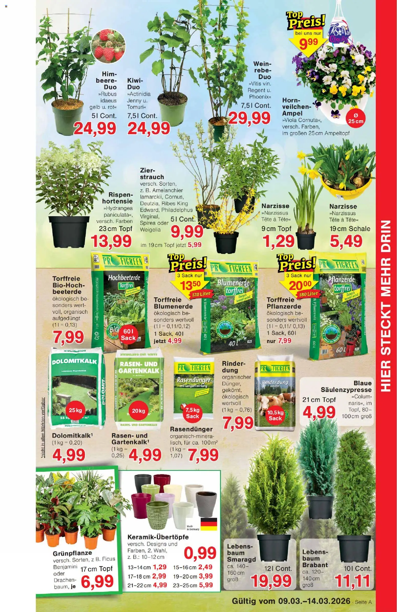 Wiglo Wunderland Prospekt – gültig ab 09.03.2026 | Seite: 5 | Produkte: Pflanzerde, Hortensie, Wein, Kiwi