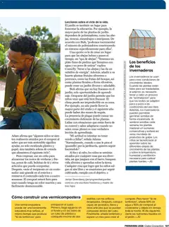 Vista previa Costco catálogo válido desde el 19.03.2026 | Página: 137 | Productos: Té