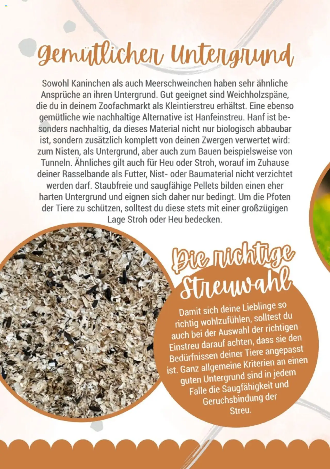 zookauf Kleintier Fibel - gültig ab dem 05.06.2025 | Seite: 12 | Produkte: Kaninchen