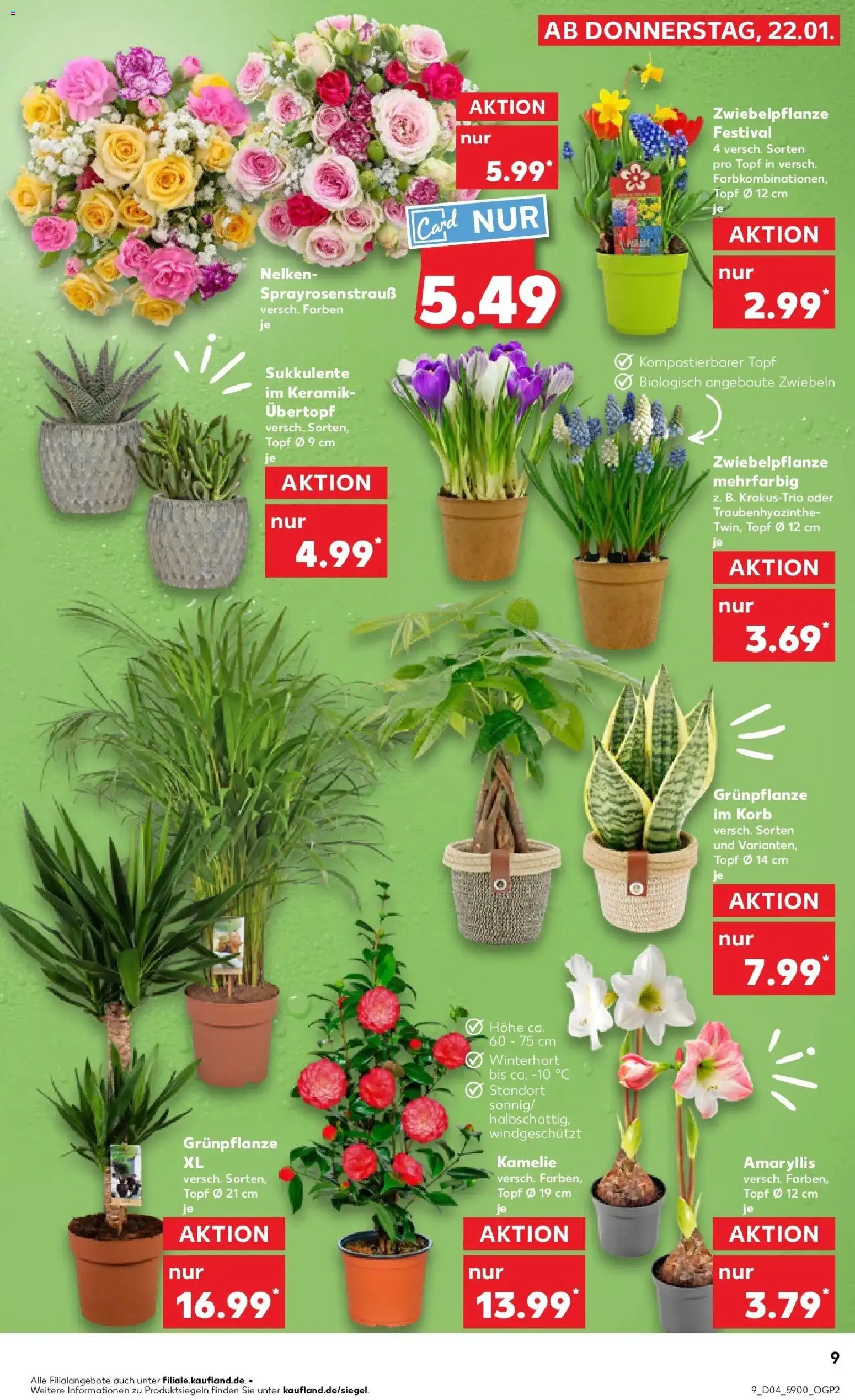 Kaufland prospekt Schönebeck (Elbe)	 – gültig ab 25.01.2026 | Seite: 9