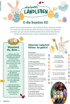 Lagerhaus Fürs Leben am Land ab 01.02.2026 gültig | Seite: 6