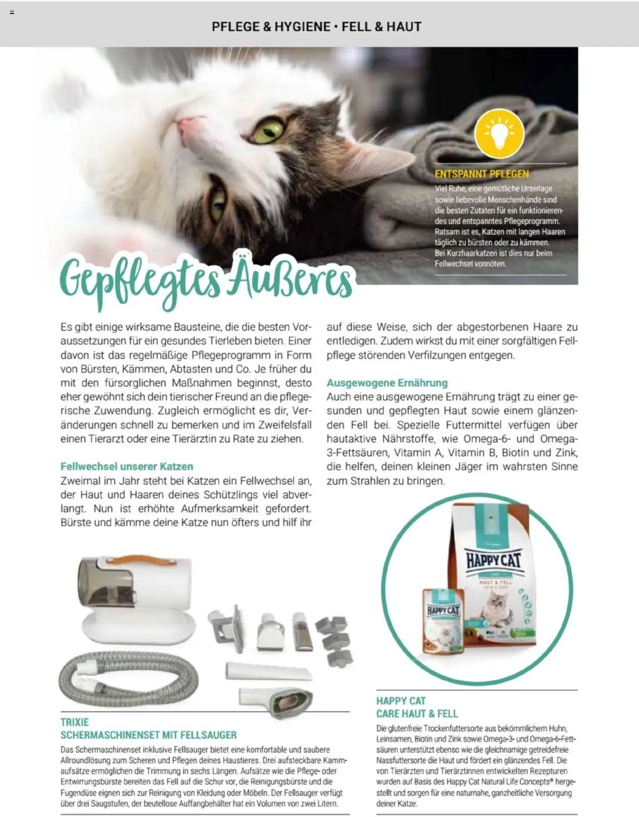 zookauf Themenkatalog Katze – gültig ab 01.10.2025 | Seite: 35 | Produkte: Bürste