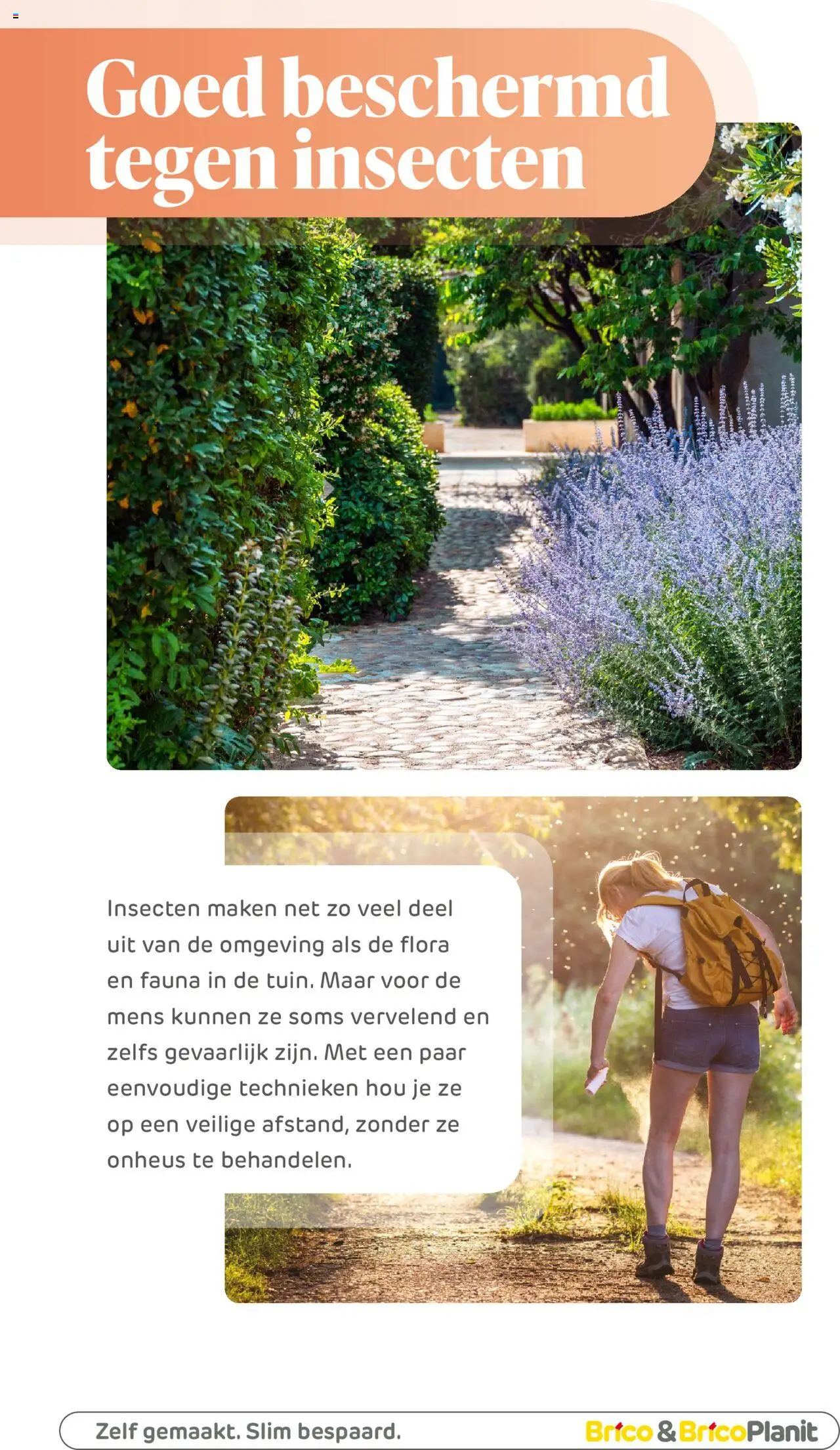 | Pagina: 277