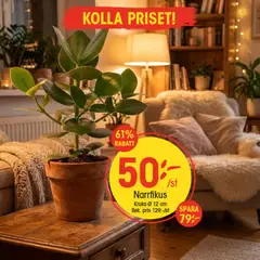 EKO - erbjudanden - Förhandsvisning av reklamblad från butik EKO aktuell från 28.01.2026 | Sida: 2 | Produkter: Kruka