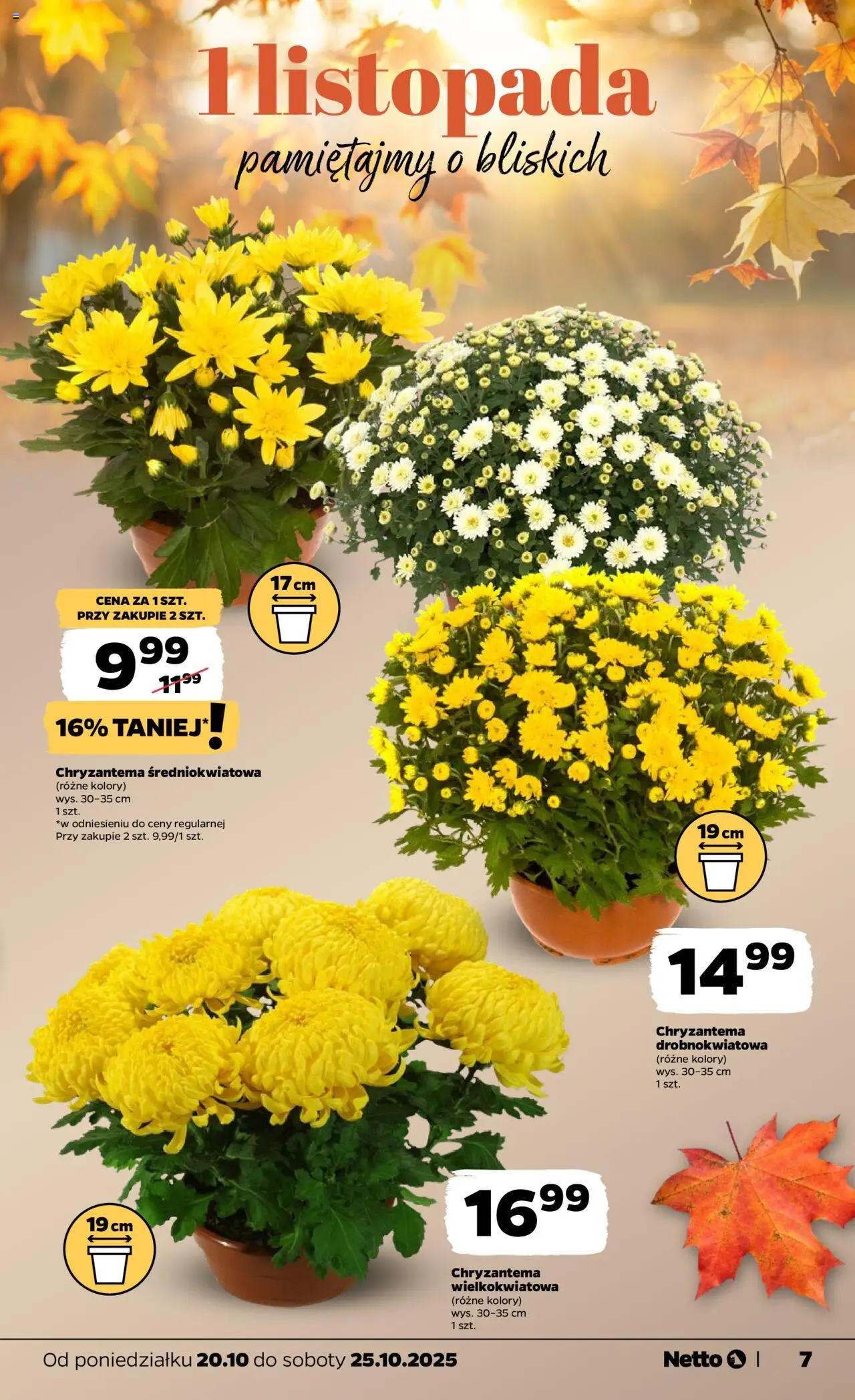 Netto gazetka - Spożywcza od 20.10.2025 | Strona: 7