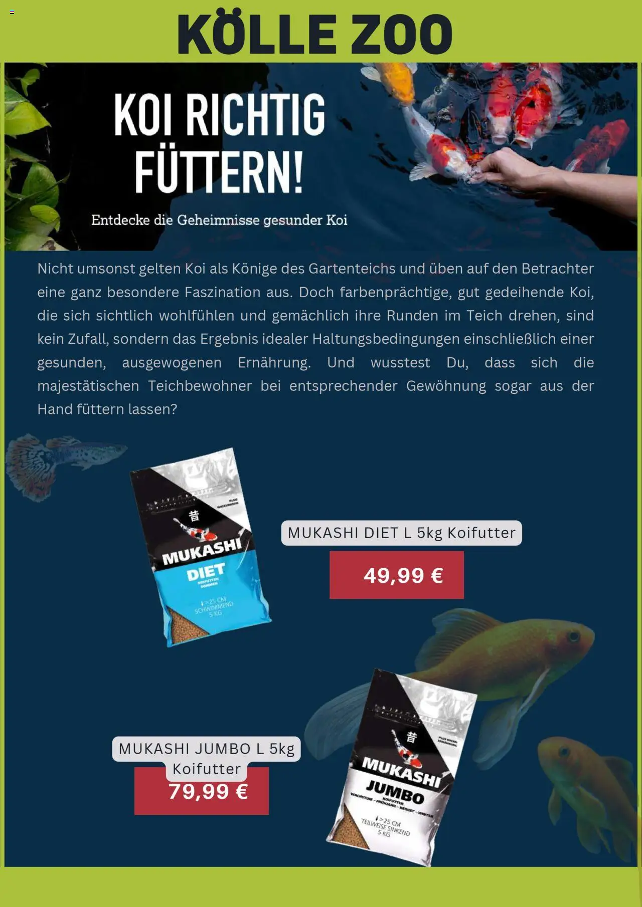 Kölle-Zoo Prospekt 	 - gültig ab dem 07.08.2025 | Seite: 11