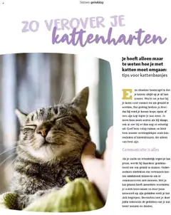 Maxi Zoo - Maxizoo Friends  - Voorbeeld van een folder van Maxi Zoo, geldig van 01.10.2025 | Pagina: 40 | Producten: Geluid