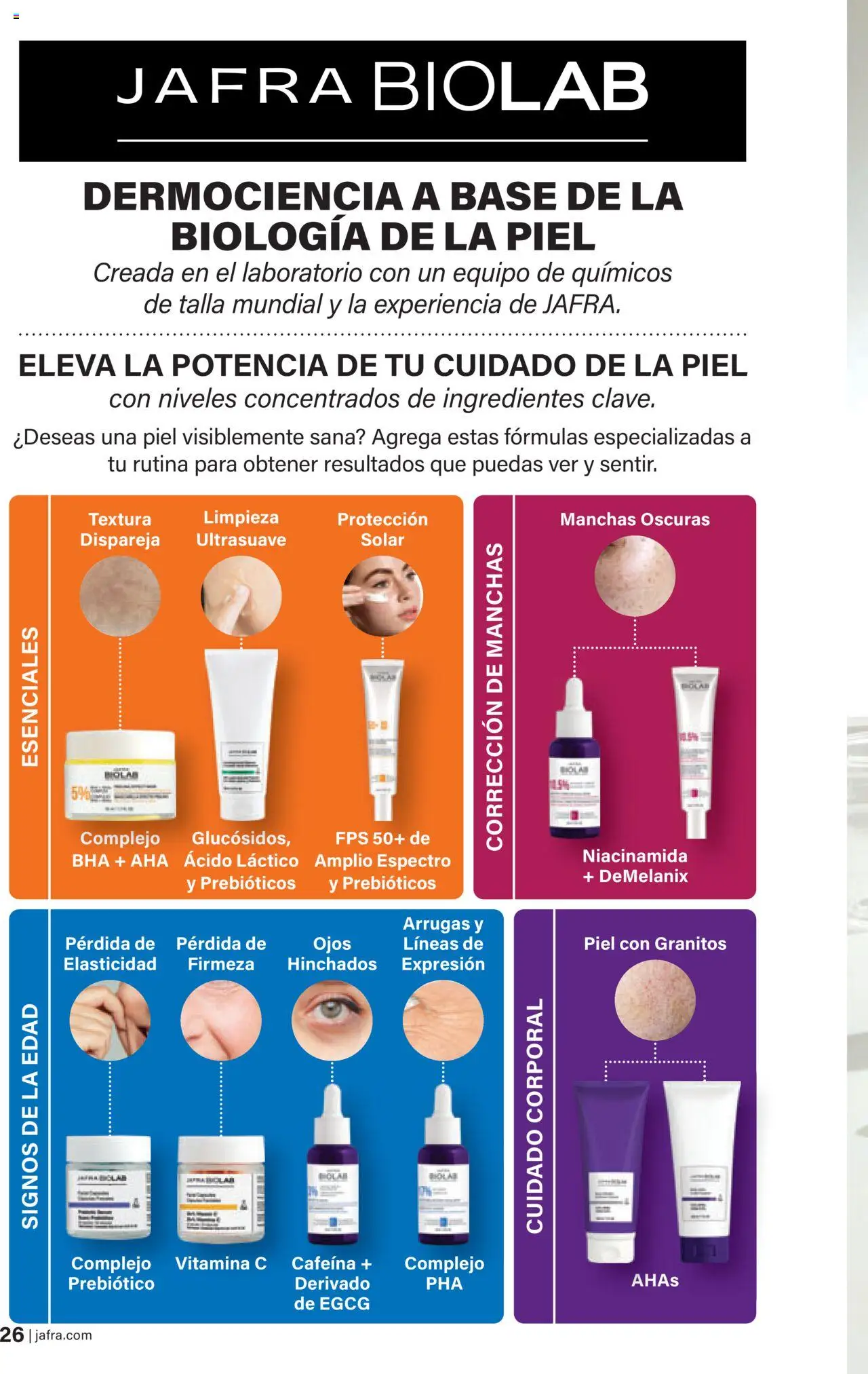 JAFRA folleto │ válido desde el 01.08.2025 | Página: 26 | Productos: Κρεμάστρα