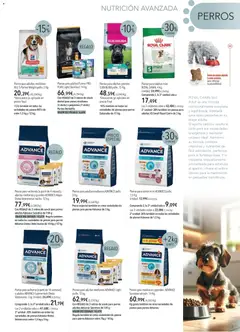 Vista previa El Corte Inglés ofertas válido desde el 01.11.2025 | Página: 3 | Productos: Peso