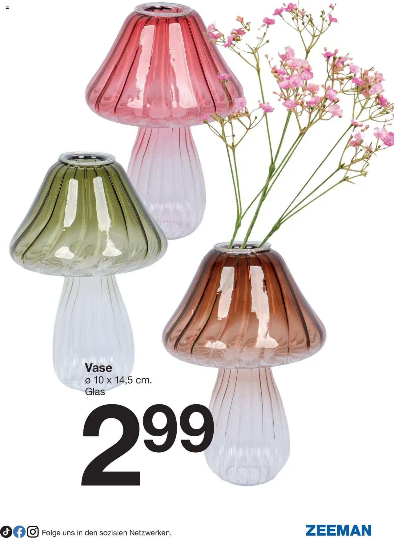 Zeeman Prospekt 	 - gültig ab dem 26.07.2025 | Seite: 3 | Produkte: Vase