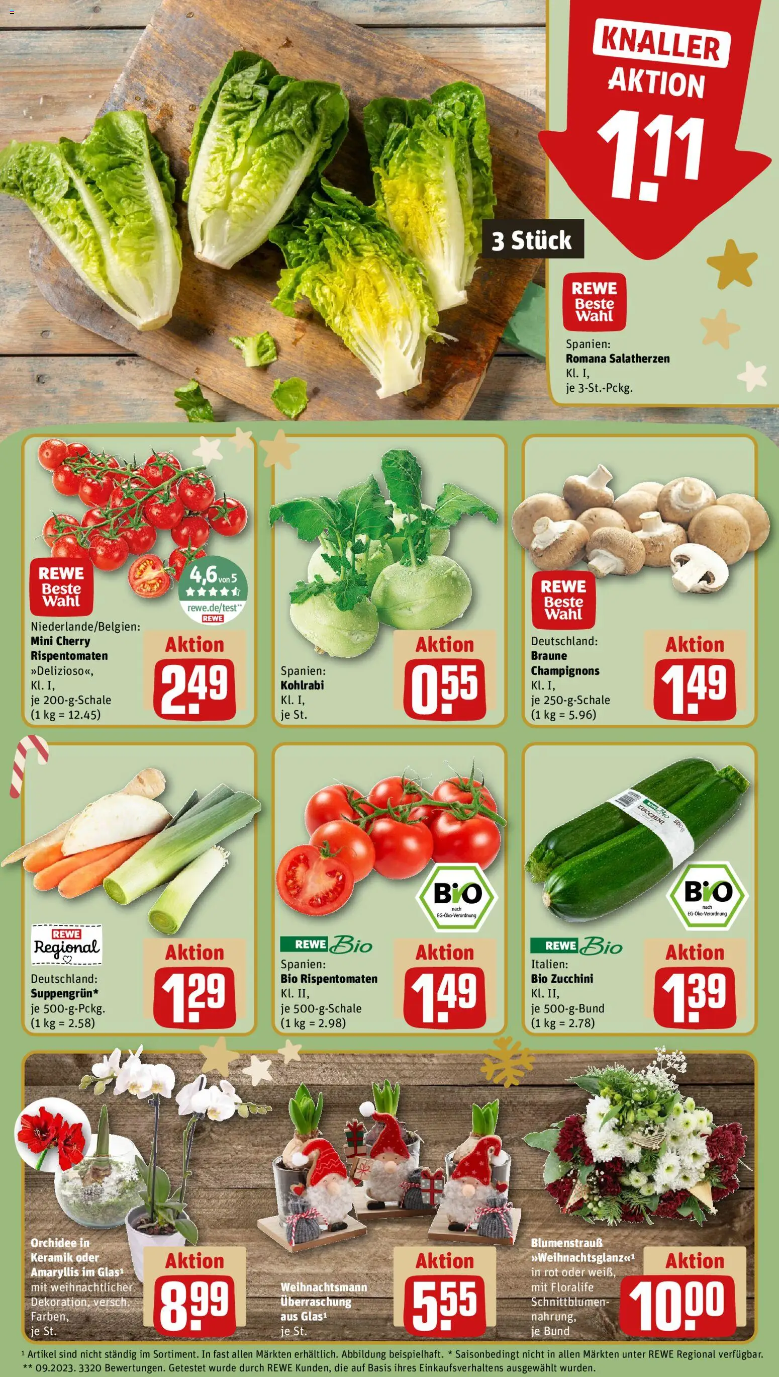 Rewe Prospekt 	 – gültig ab 01.12.2025 | Seite: 9 | Produkte: Orchidee, Kohlrabi, Champignons, Zucchini