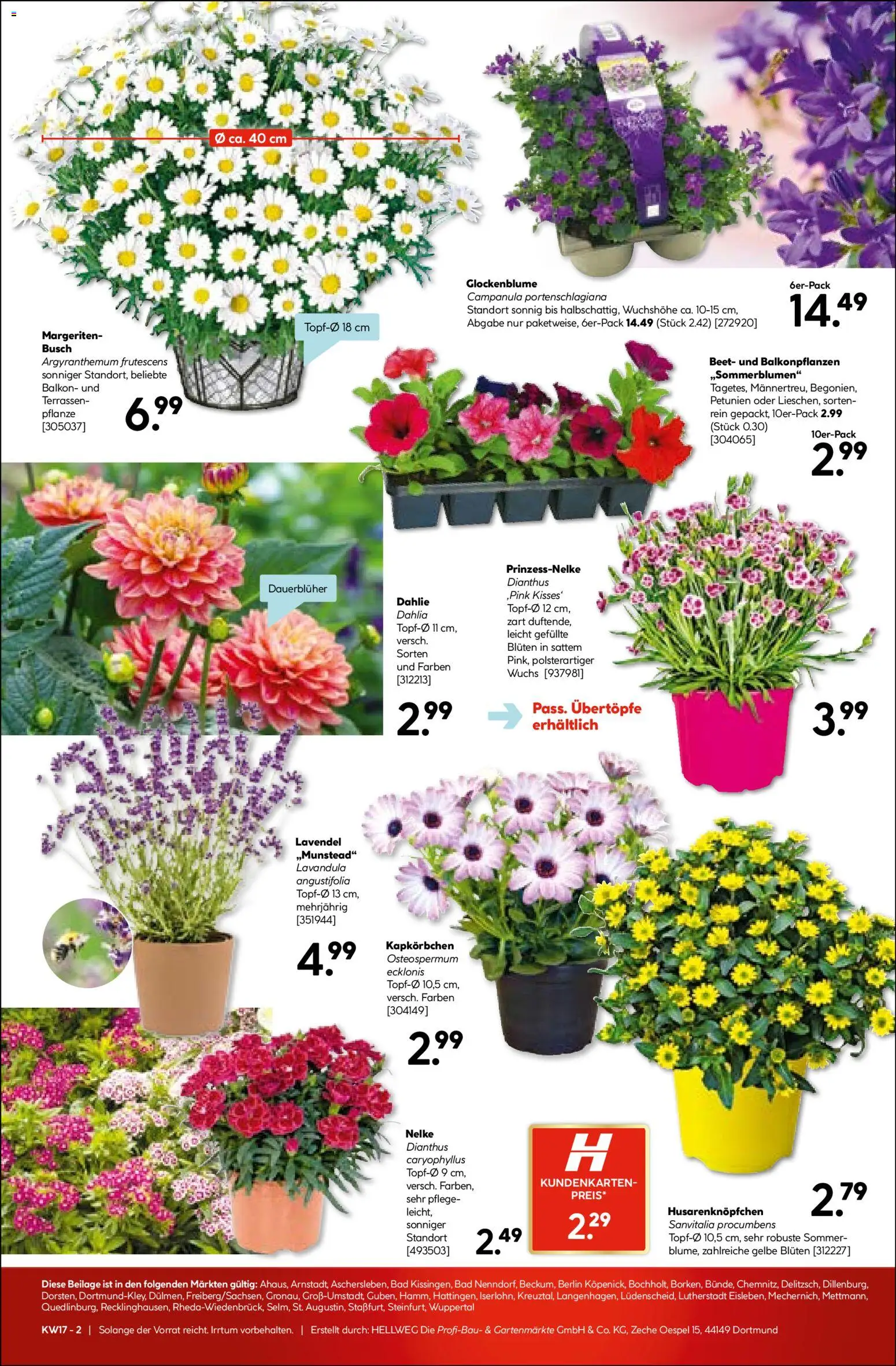 Hellweg Prospekt 	 – gültig ab 20.04.2026 | Seite: 19