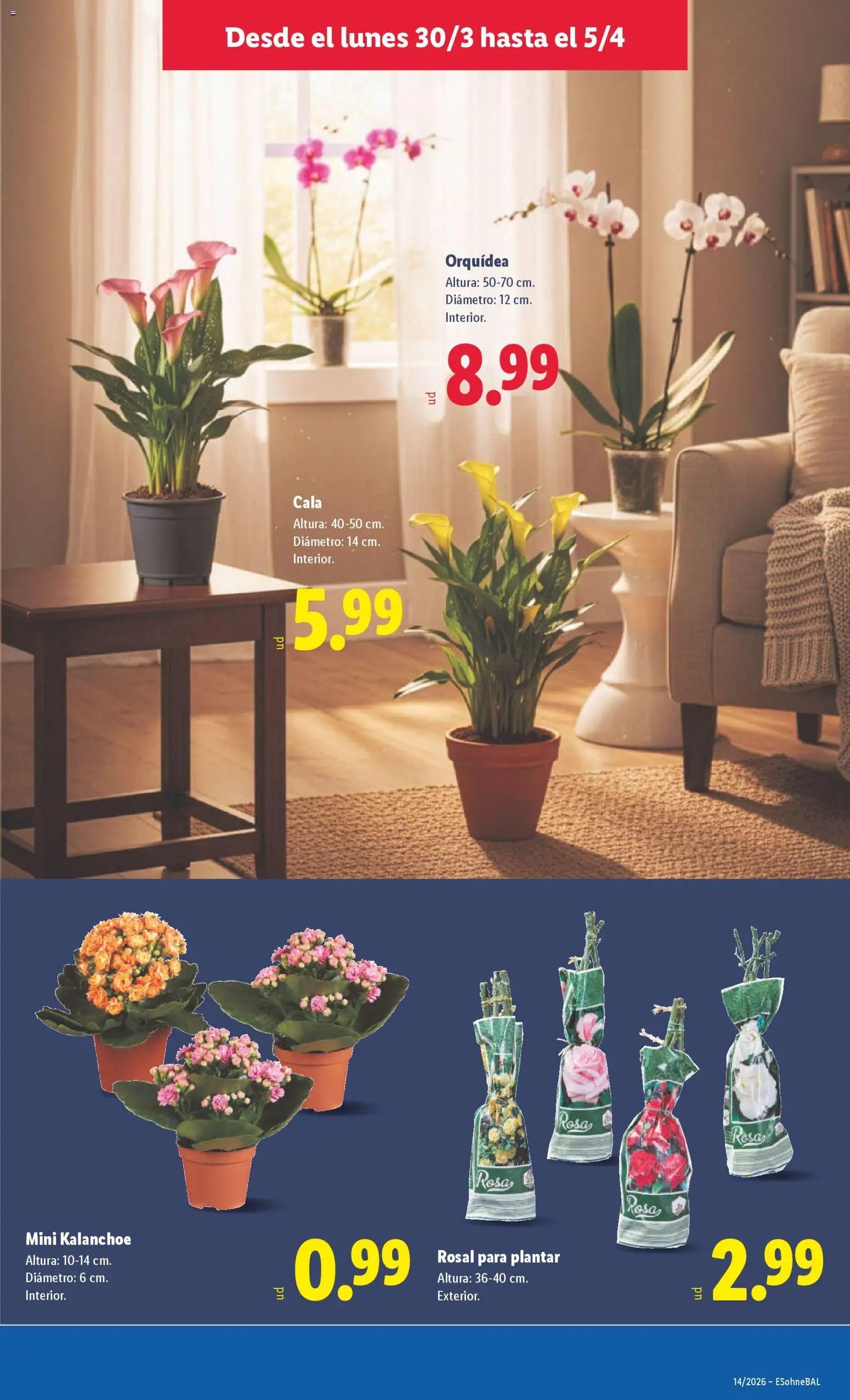 Lidl folleto │ válido desde el 30.03.2026 | Página: 43