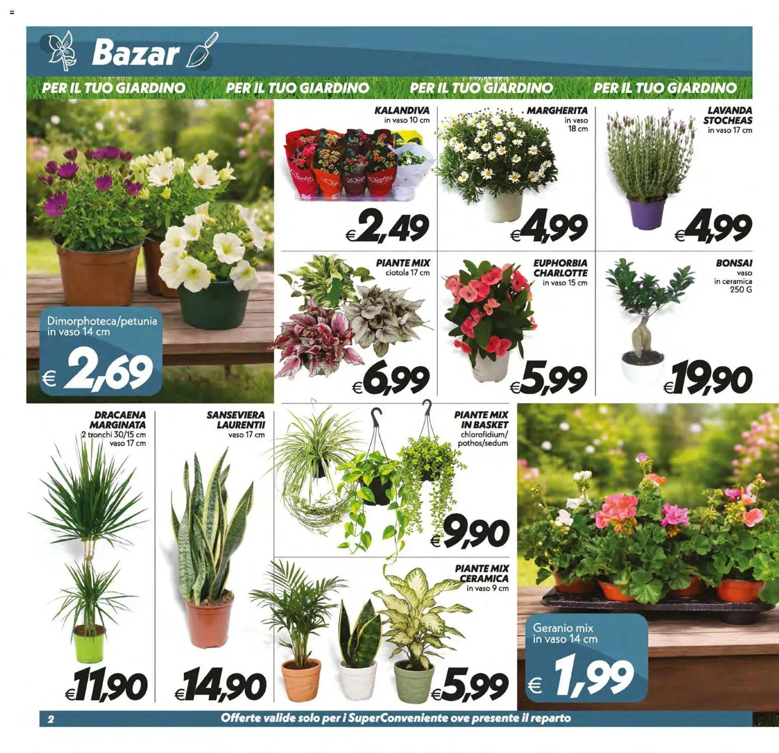 Volantino SuperConveniente del 17.03.2026 | Pagina: 27 | Prodotti: Lavanda, Ciotola, Vaso