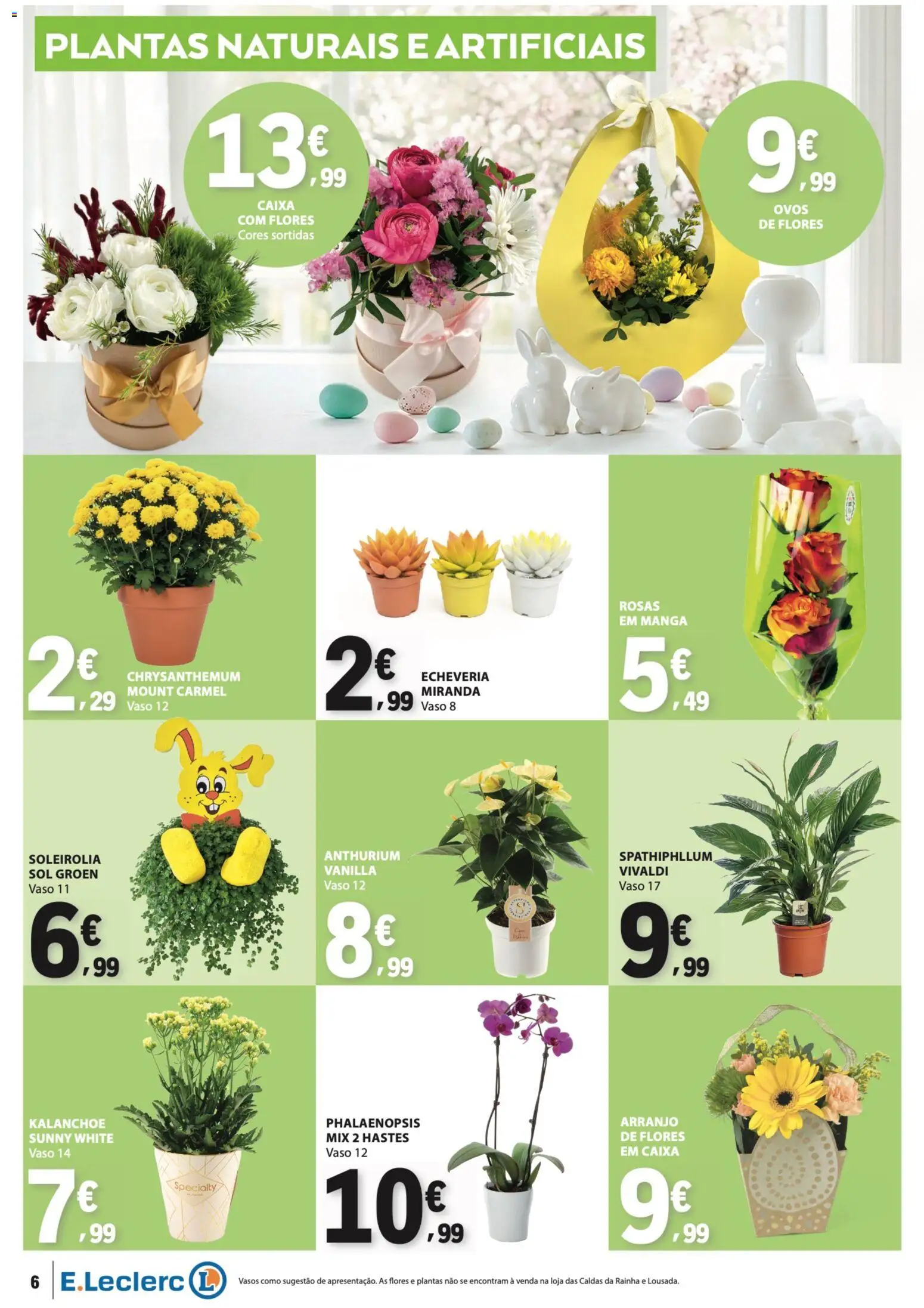 E.Leclerc Não Alimentar │ válido de 26.03.2026 | Página: 6 | Produtos: Flores, Caixa, Ovos, Vaso
