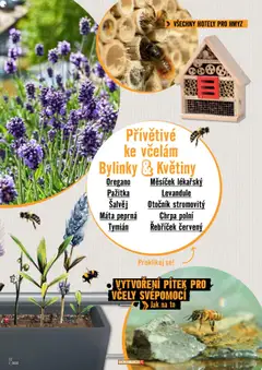 Náhled letáku HORNBACH leták - Balkón od 13.08.2025 | Strana: 7 | Produkty: Květiny