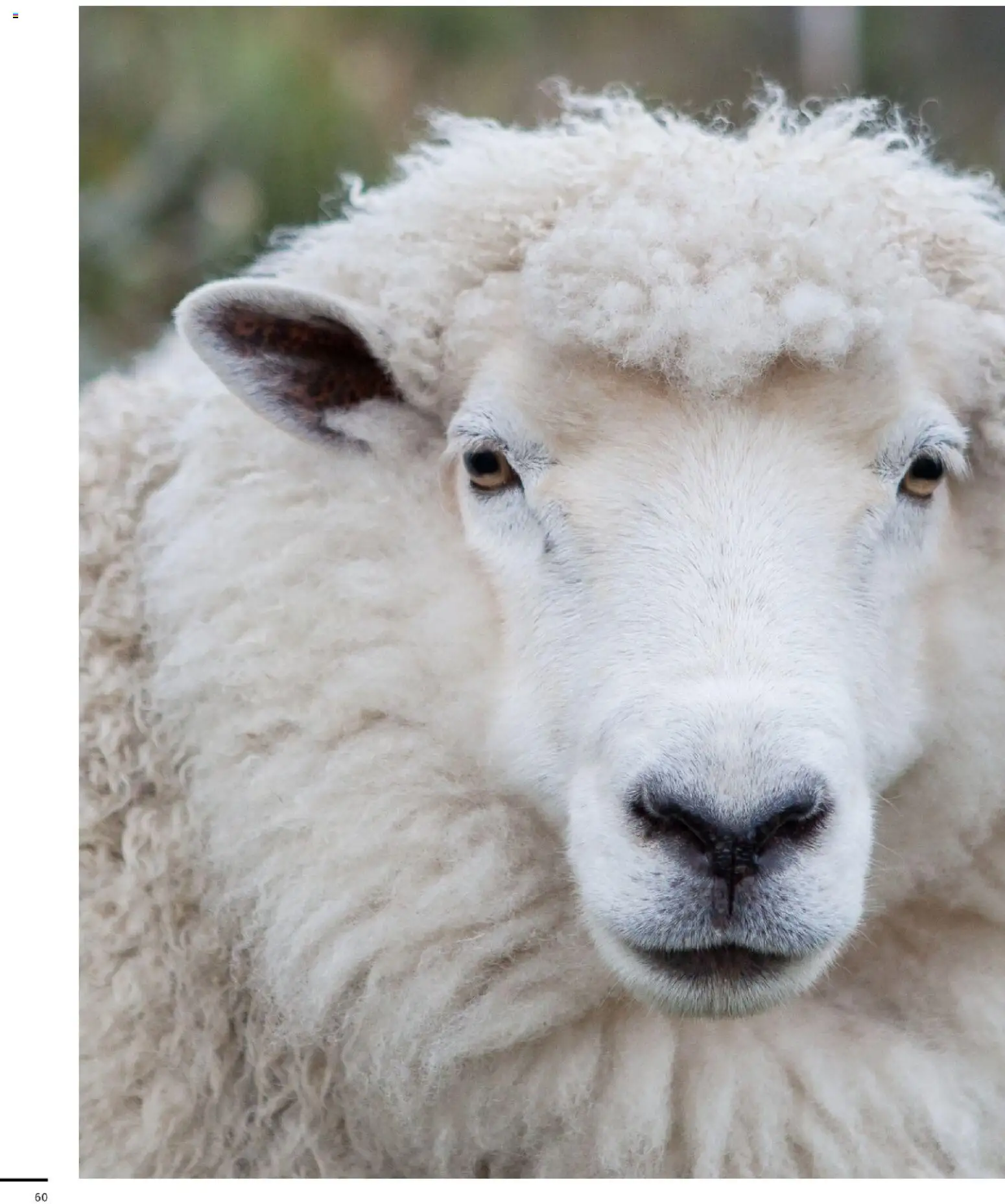 Sport2000 Prospekt Frühjahr 2026 – gültig ab 12.04.2026 | Seite: 60