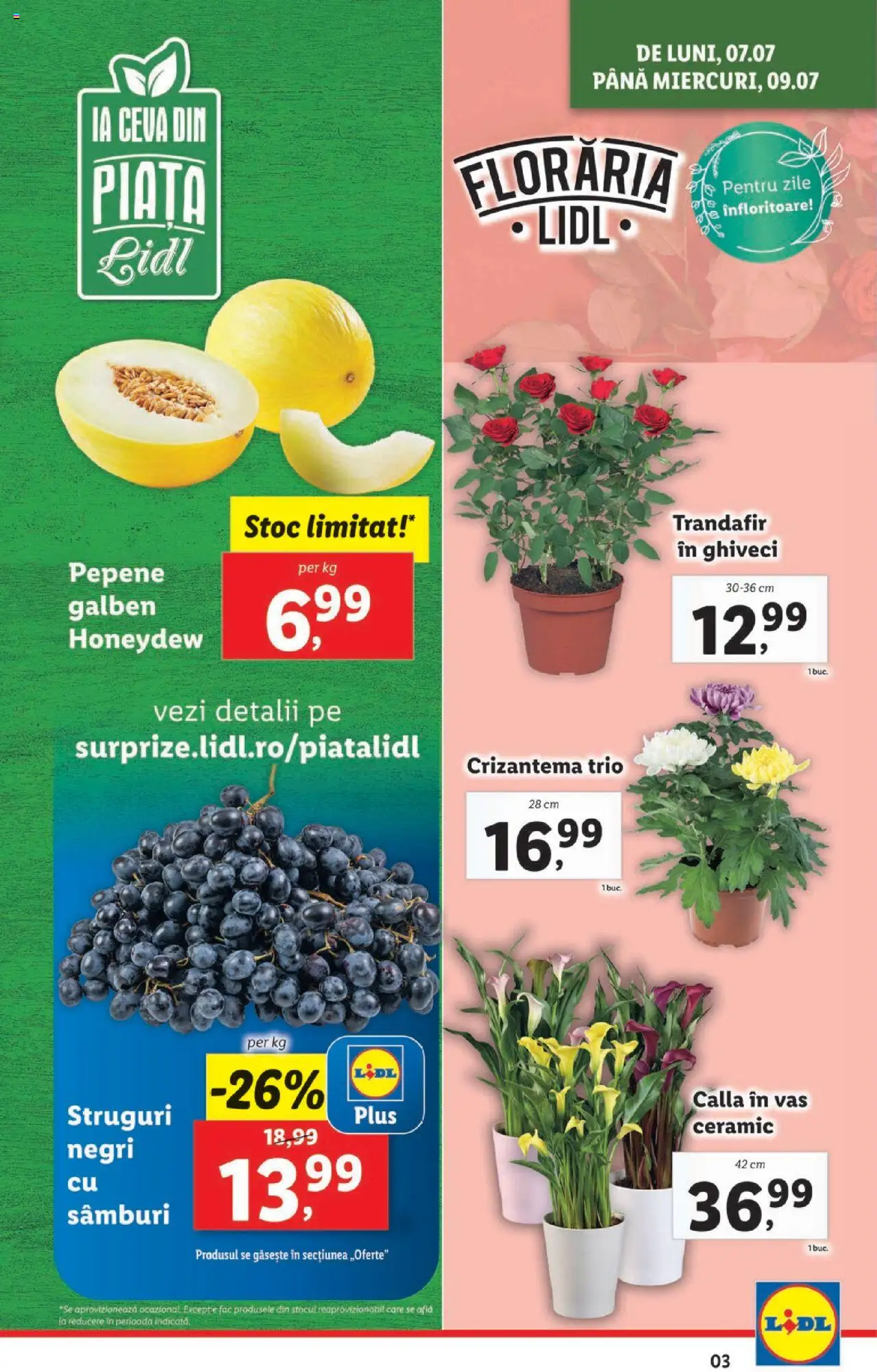 Catalog Lidl – valabil de la 07.07.2025 | Pagină: 3 | Produse: Struguri, Trandafir, Ghiveci