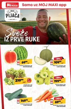 Tempo katalog - važi od 14.08.2025 | Strana: 12