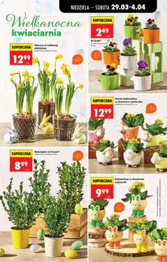 Pogląd oferty "Biedronka gazetka od niedzieli" - ważna od 29.03.2026 | Strona: 25