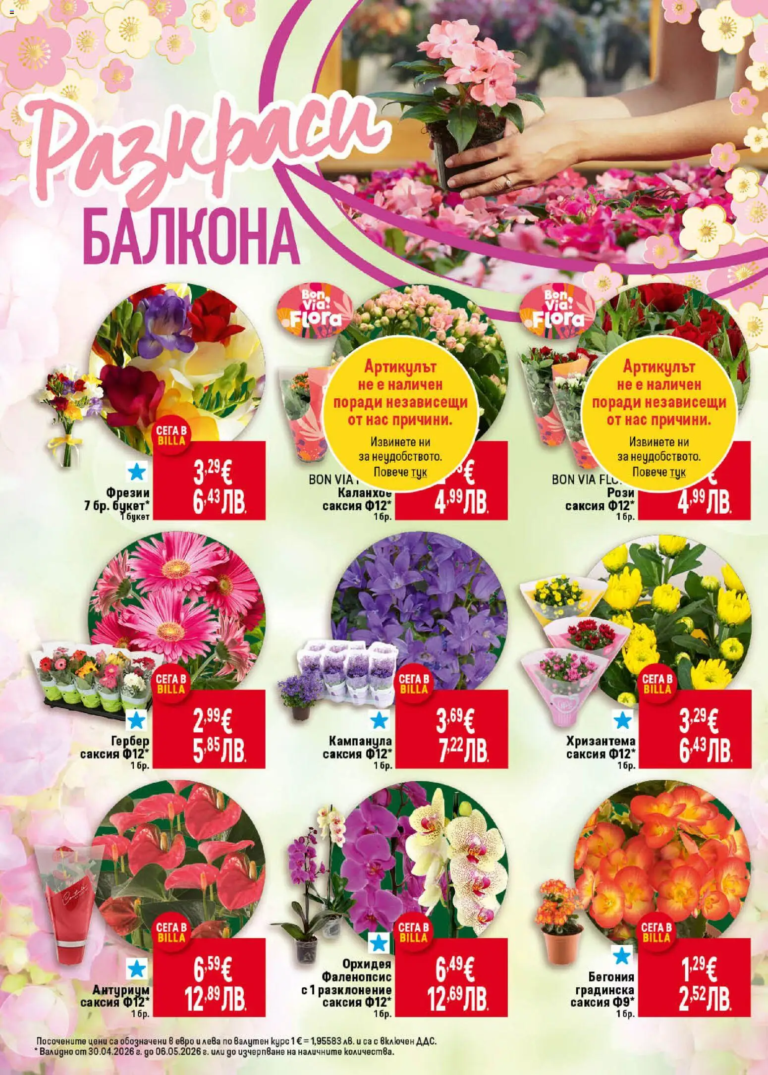 {H1} | Страница: 8 | Продукти: Орхидея, Хризантема, Саксия