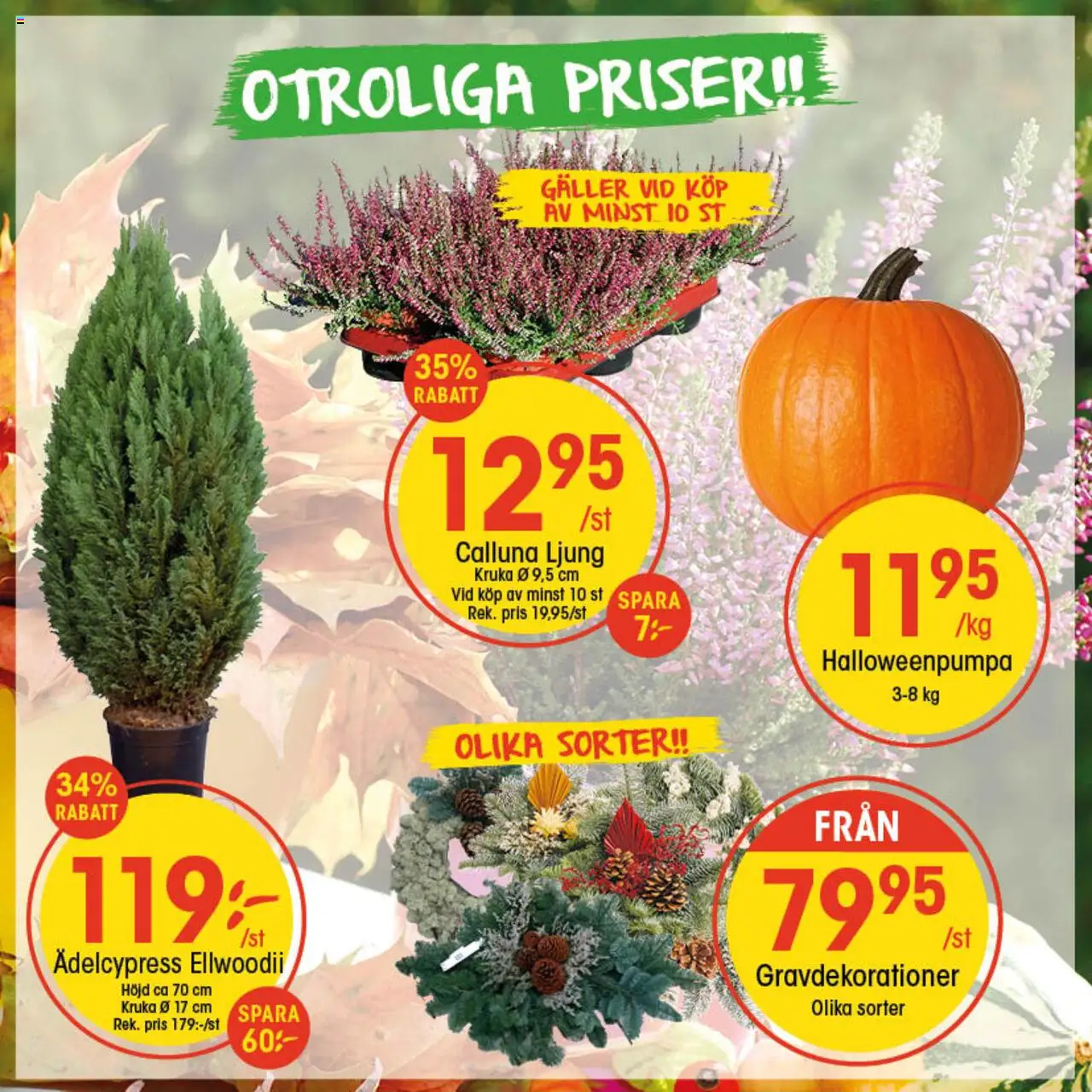 EKO reklamblad aktuell från 20.10.2025 | Sida: 3 | Produkter: Galler, Kruka