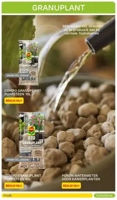  | Pagina: 42 | Producten: Kamerplanten