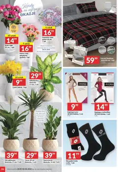 Pogląd oferty "Twój Market Gazetka" - ważna od 28.01.2026 | Strona: 26 | Produkty: Pościel, Rajstopy, Skarpetki, Doniczka