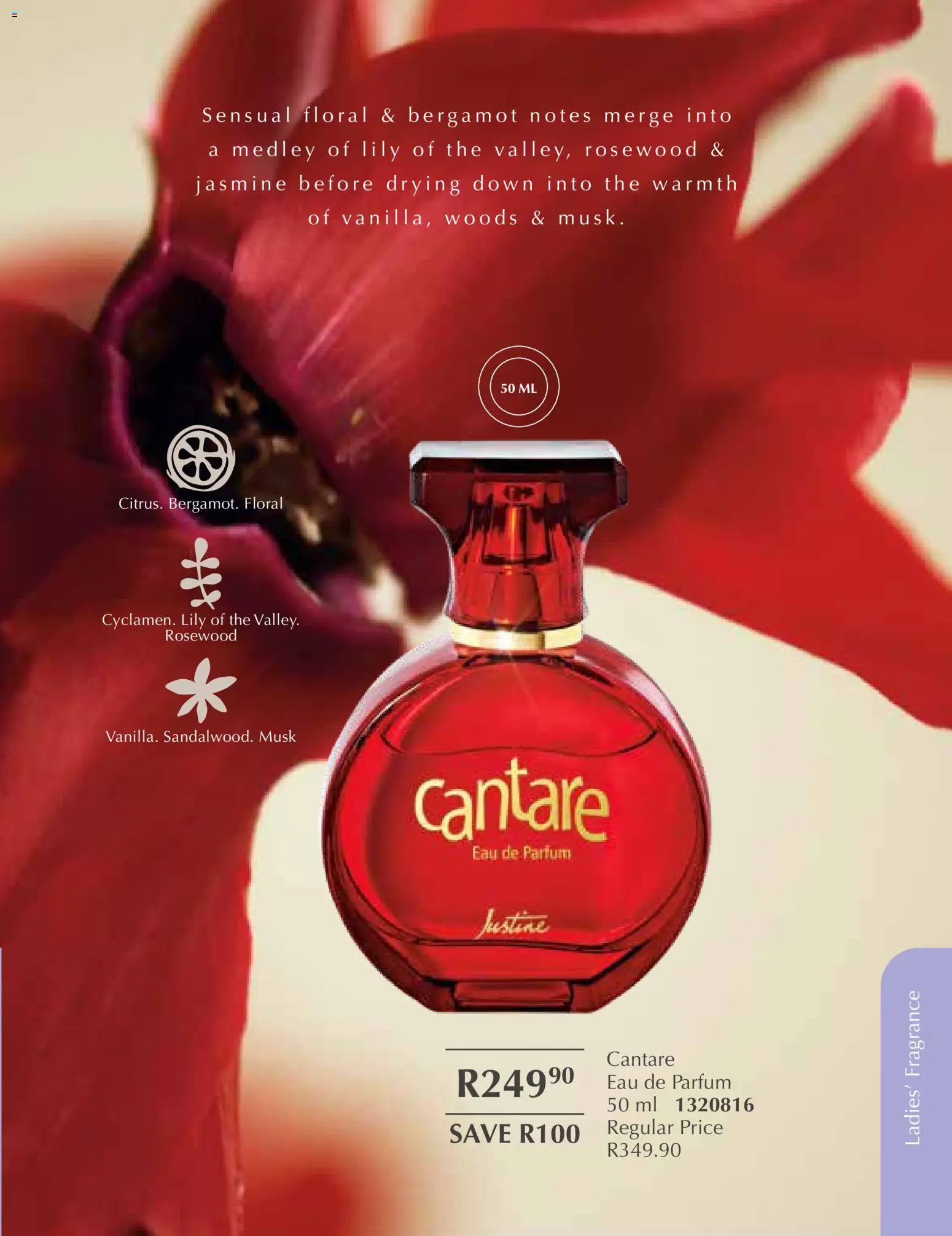 New Justine catalogue – valid from 01.01.2026 | Page: 53