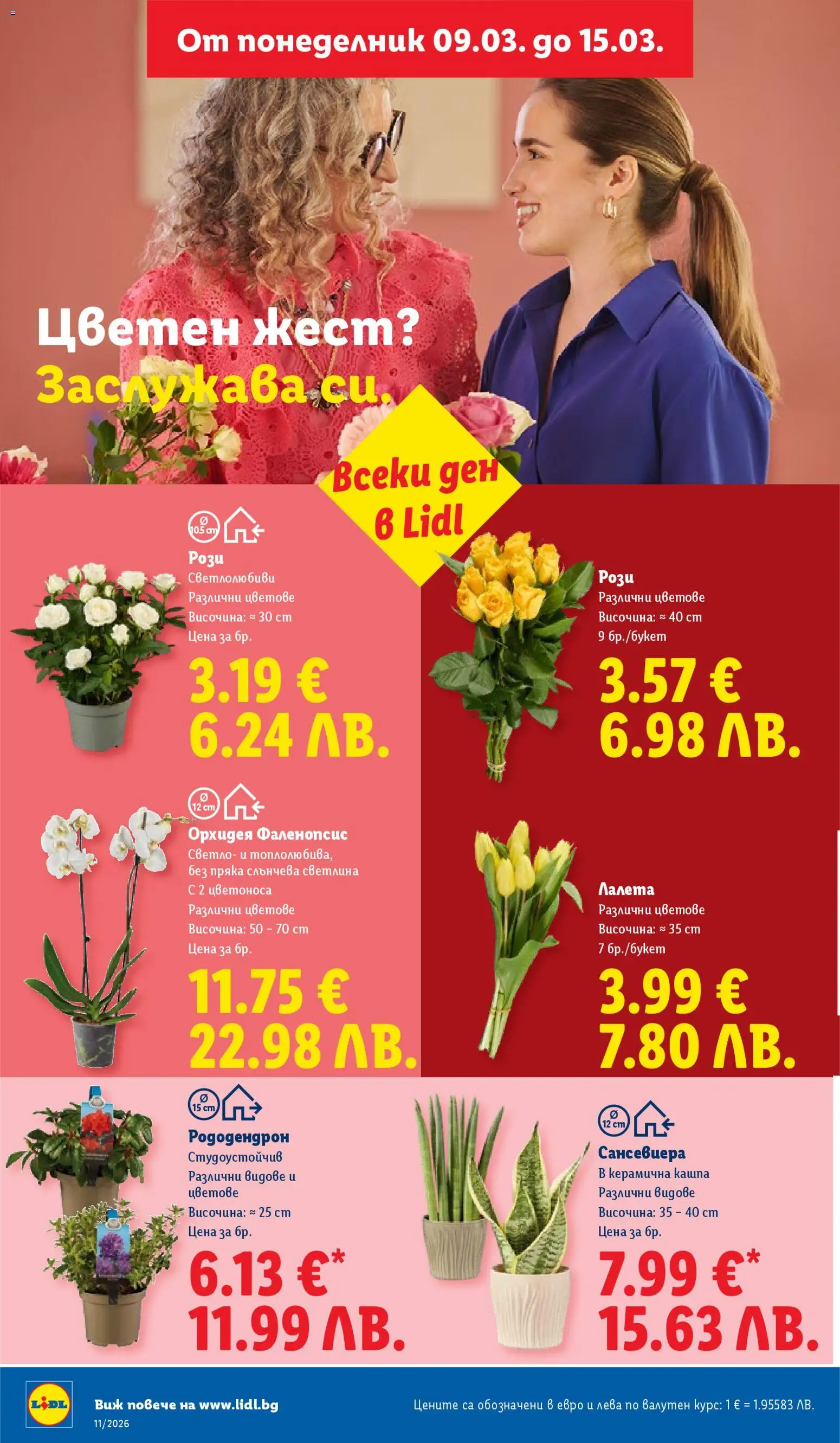 {H1} | Страница: 50 | Продукти: Орхидея