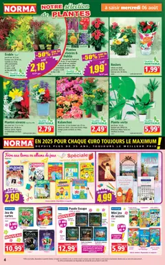  | Page: 4