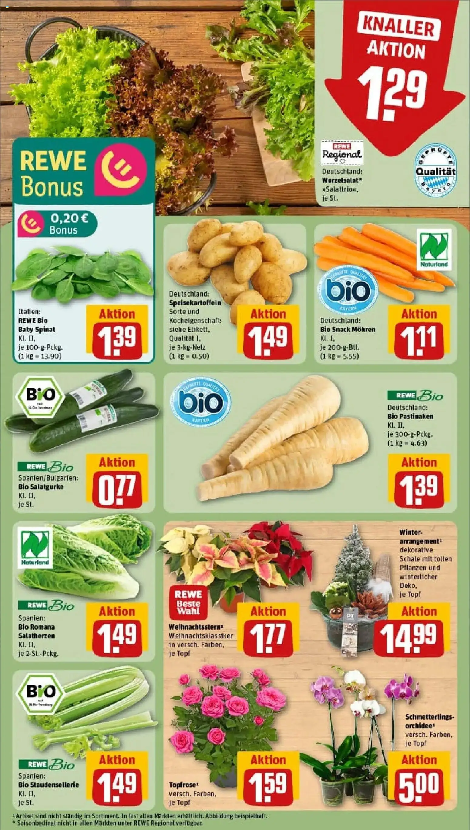 Rewe prospekt Haar	 – gültig ab 10.11.2025 | Seite: 11 | Produkte: Orchidee, Mohren