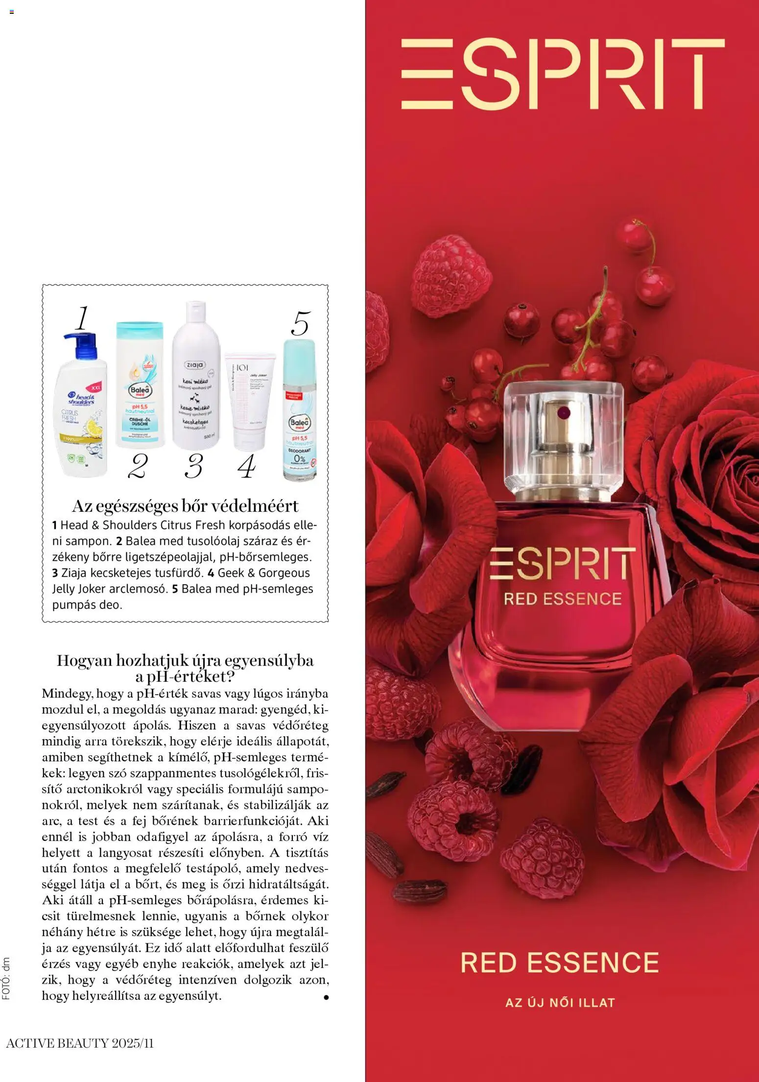 DM Drogerie Markt akciós ujság - amely érvényes a következő dátumtól: 13.11.2025 | Oldal: 33 | Termékek: Sampon, Bor, Tusfürdő