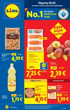 Lidl Φυλλάδιο - Προεπισκόπηση φυλλαδίου από το κατάστημα Lidl,  σε ισχύ από 10.07.2025