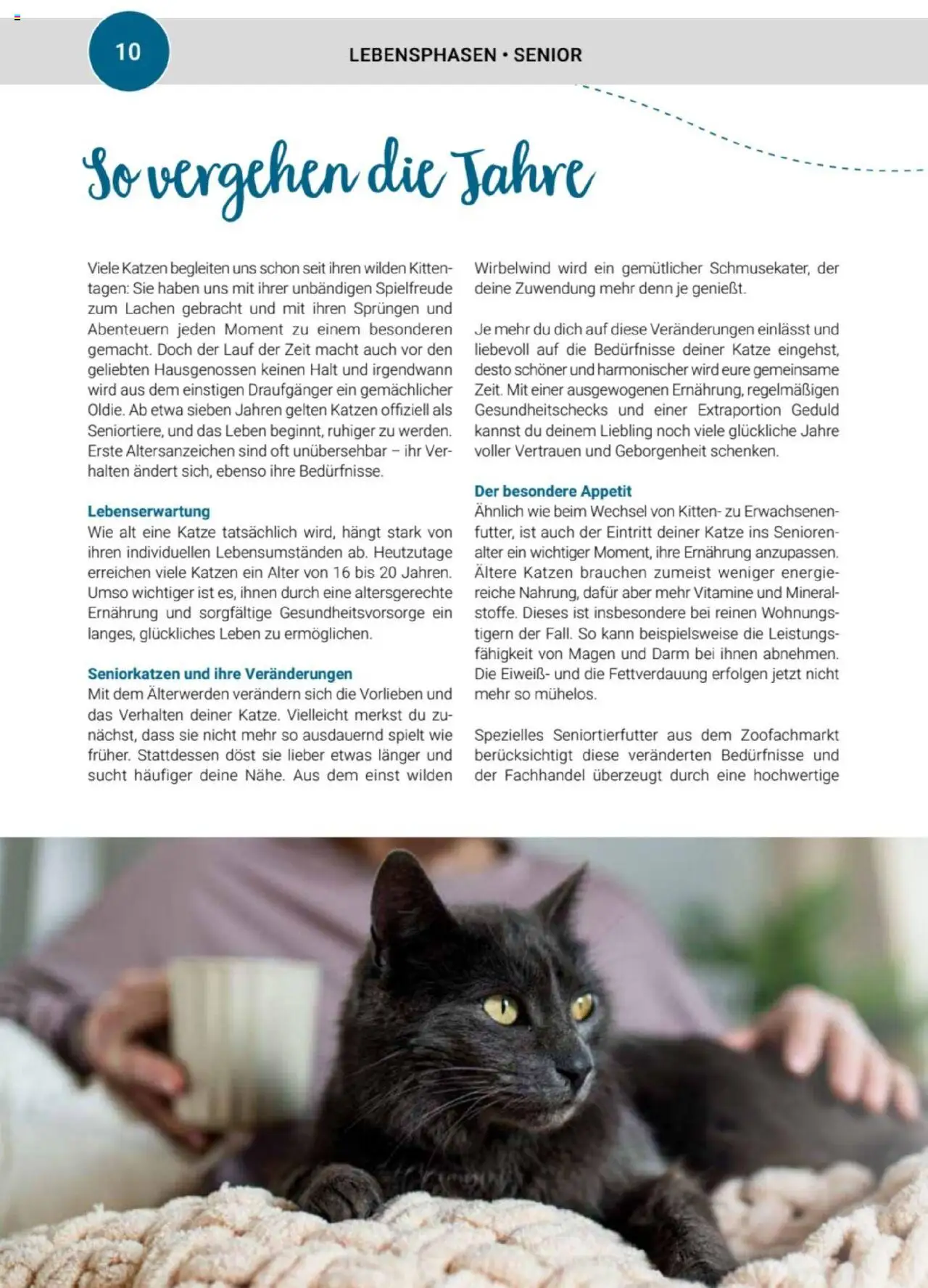 zookauf Themenkatalog Katze – gültig ab 01.10.2025 | Seite: 10