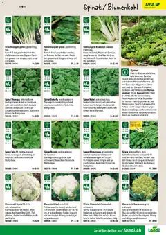 Landi ( Deaktivovane pre Letakomat )  Aktionen ab 07.01.2026 gültig | Seite: 11