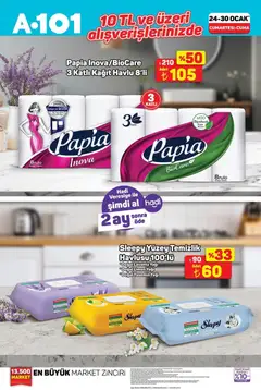 24.01.2026 tarihinden itibaren geçerli olan A101 kataloğu önizlemesi | Sayfa: 3