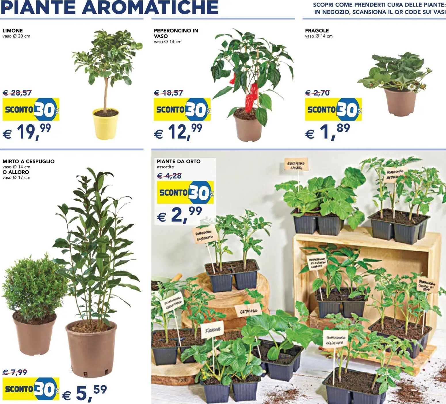 Volantino Esselunga S del 23.04.2026 | Pagina: 13 | Prodotti: Fragole, Limone, Peperoncino, Vaso