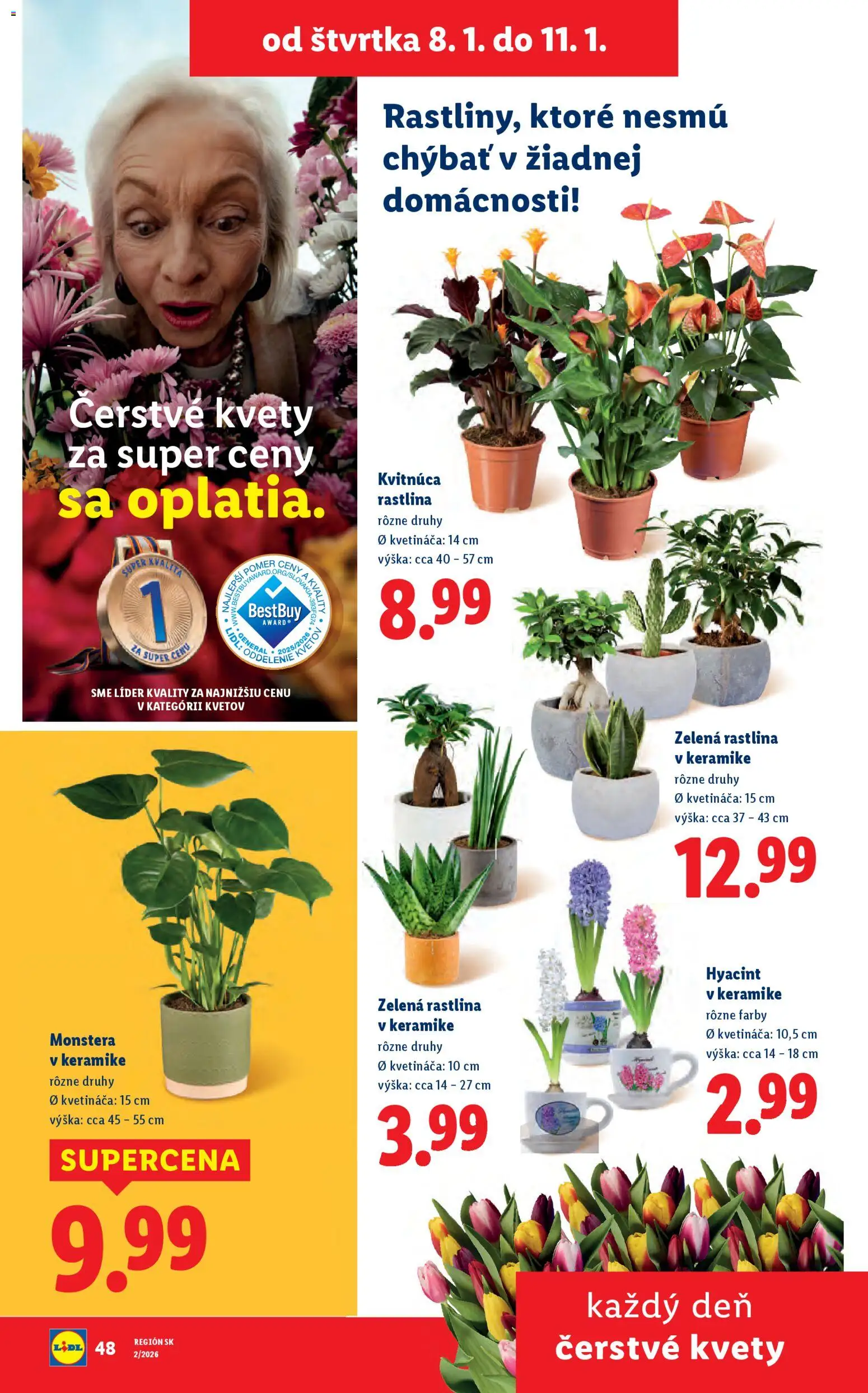 Nové Lidl akcie – leták je platný od 08.01.2026 | Strana: 31 | Produkty: Kvety