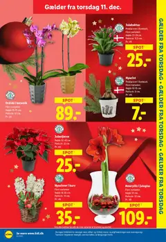 Lidl - Tilbudsavis gyldig fra 07.12.2025 | Side: 30