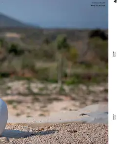 Kreativni dom Lesnina - Pregled kataloga iz trgovine Lesnina, vrijedi od 10.04.2025 | Stranica: 41 | Proizvodi: Vaza