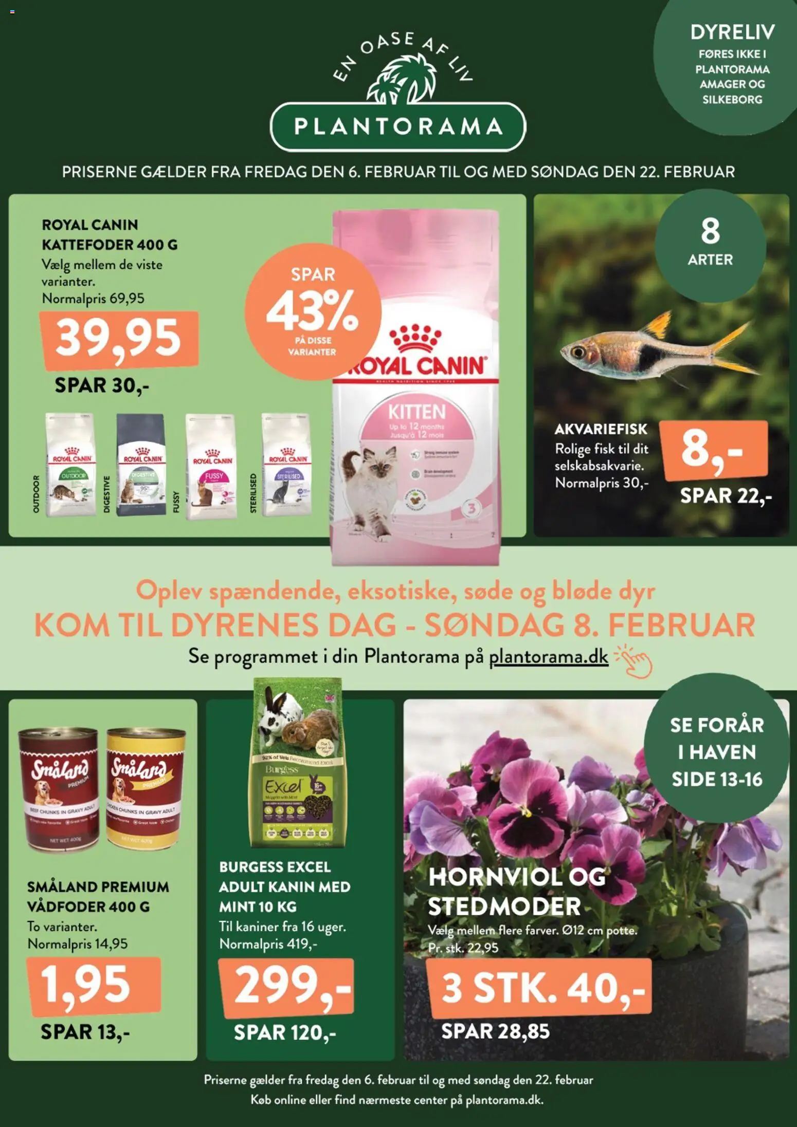 Plantorama tilbudsavis – gyldig fra 06.02.2026 | Side: 1