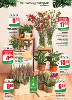 Wrzos dwukolorowy, doniczka 11 cm, wysokość: 20 cm, 1 szt. od 10.09.2025 | Strona: 54