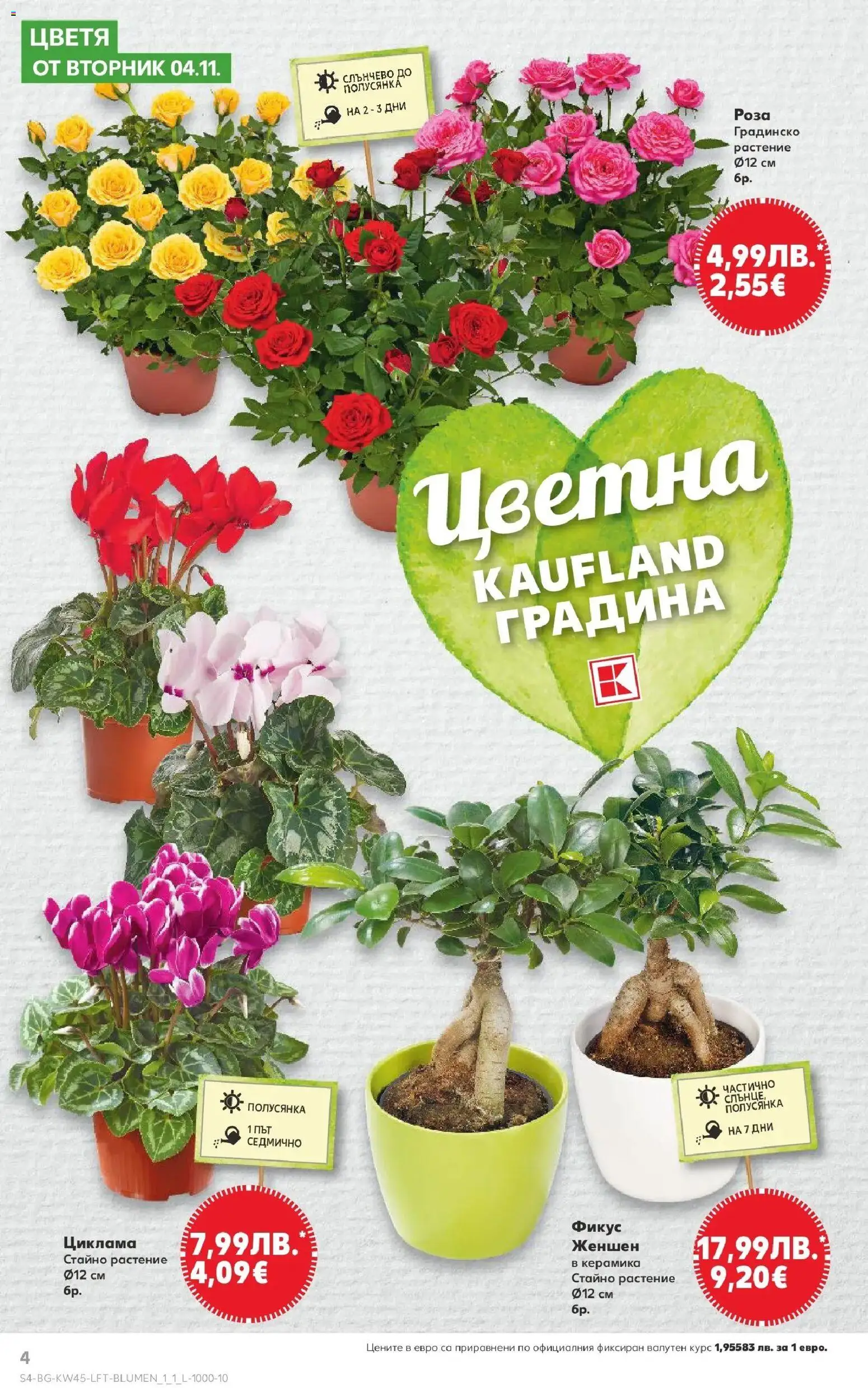 {H1} | Страница: 4 | Продукти: Роза